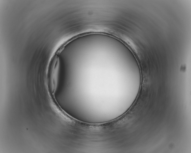 X0000091681080200709061059