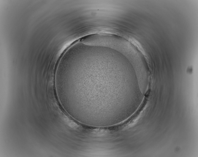 X0000091681081200709061059
