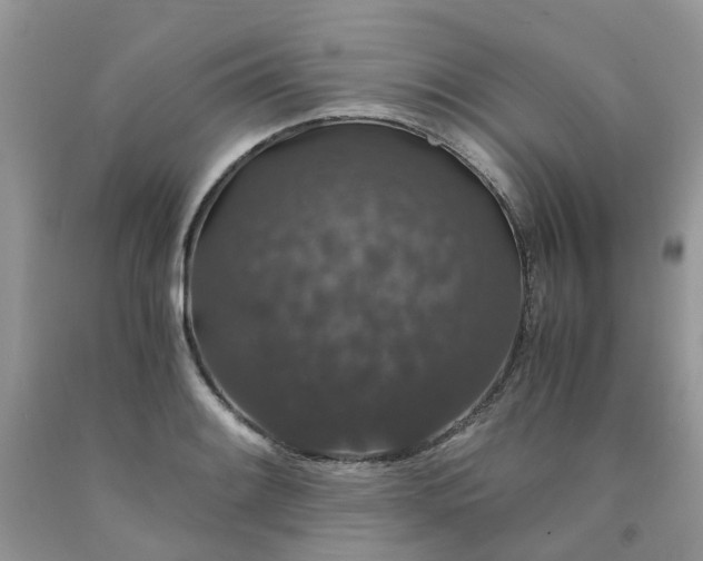 X0000091681084200709061059