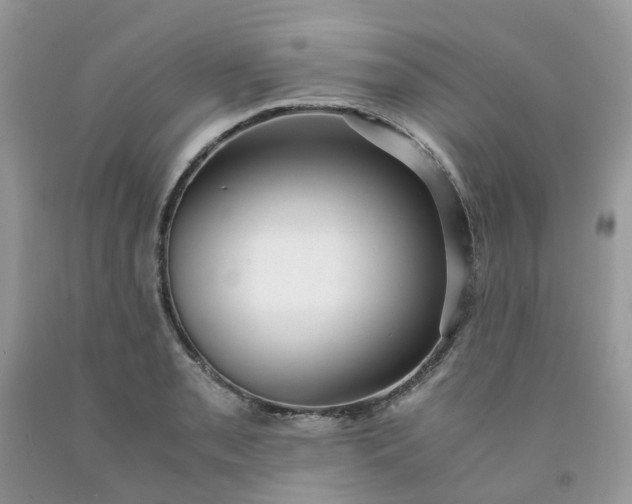 X0000091681085200709061059