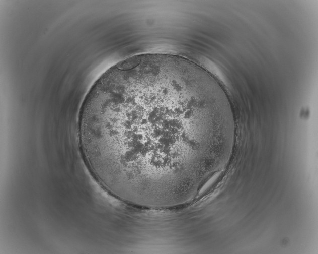 X0000091681087200709061059