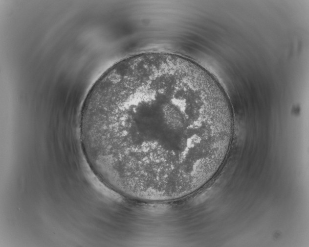 X0000091681090200709061059