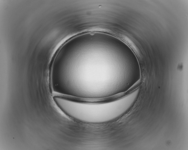 X0000091681092200709061059