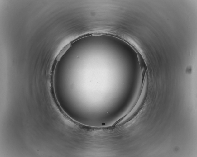 X0000091681093200709061059
