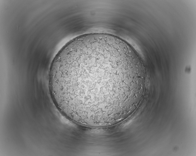 X0000091681094200709061059
