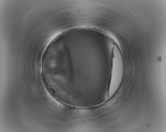 X0000091681095200709061059