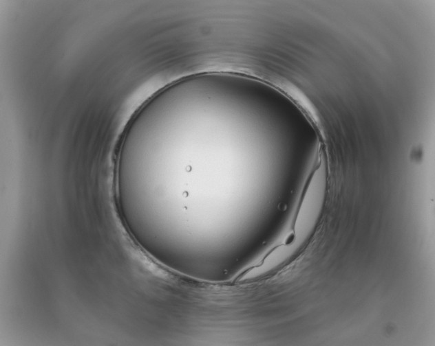 X0000091681096200709061059