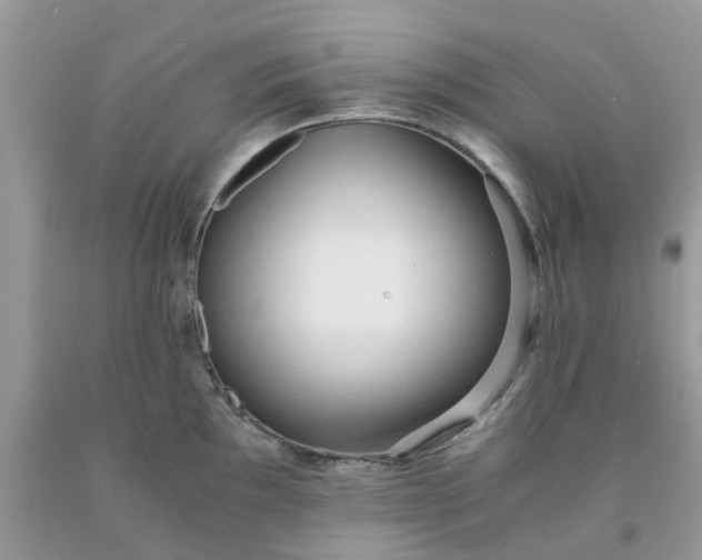 X0000091681097200709061059