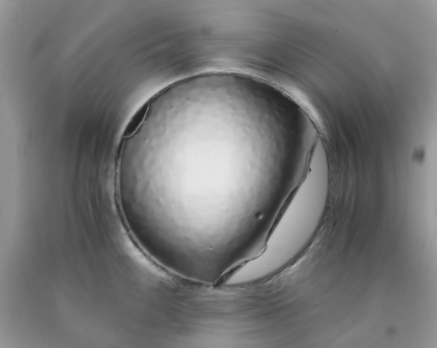 X0000091681100200709061059