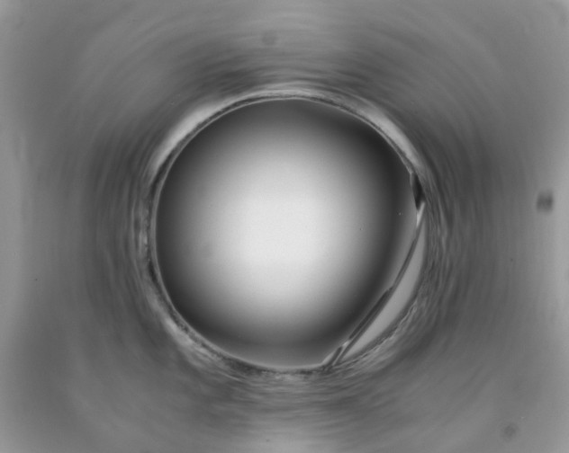X0000091681101200709061059