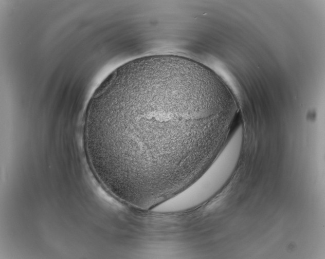 X0000091681102200709061059
