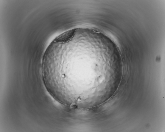 X0000091681103200709061059