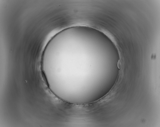 X0000091681104200709061059