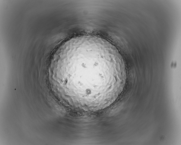X0000091681105200709061058