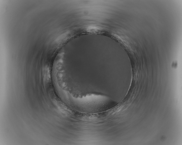 X0000091681106200709061058
