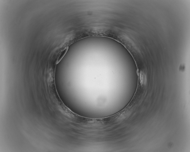 X0000091681107200709061058