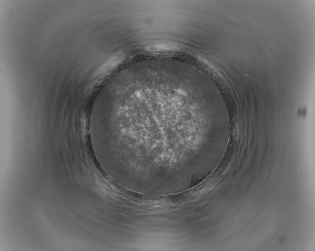 X0000091681108200709061058