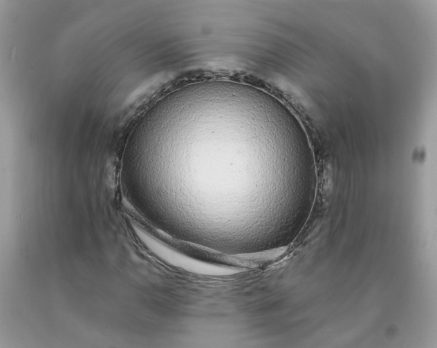 X0000091681110200709061058