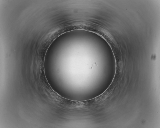 X0000091681111200709061058