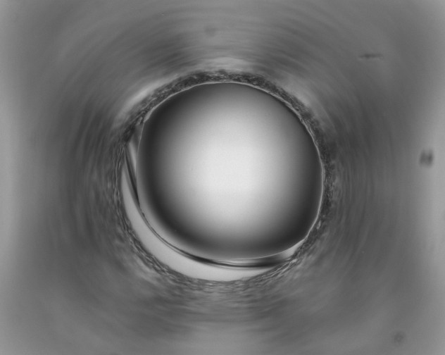 X0000091681112200709061058