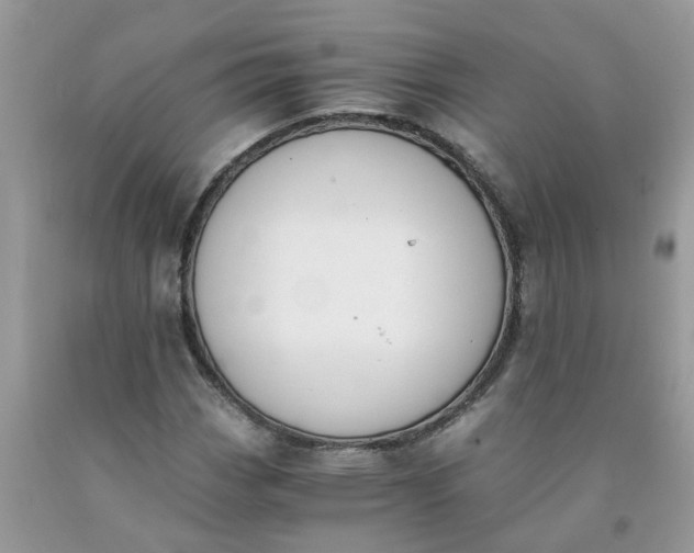 X0000091681113200709061058