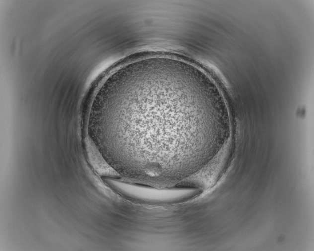 X0000091681114200709061058