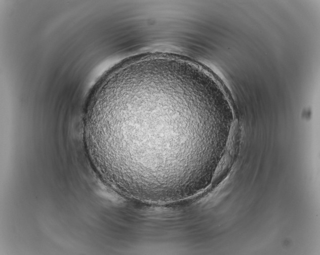 X0000091681115200709061058