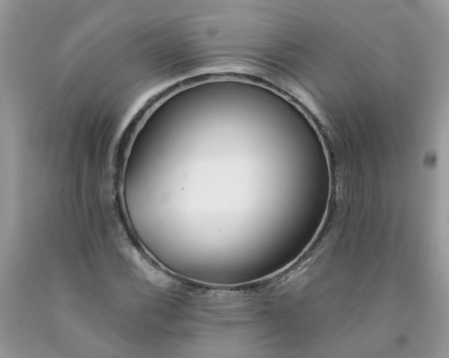 X0000091681116200709061058