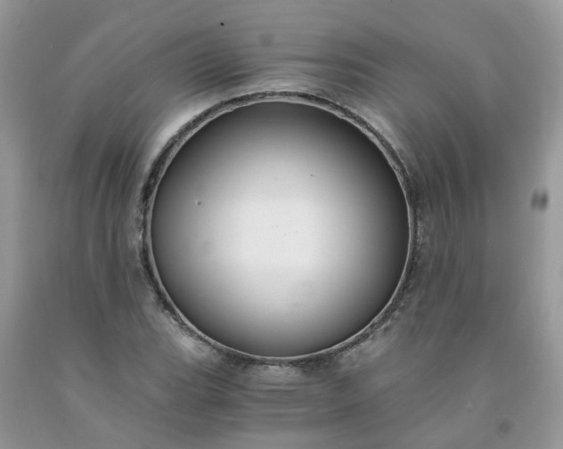 X0000091681119200709061058