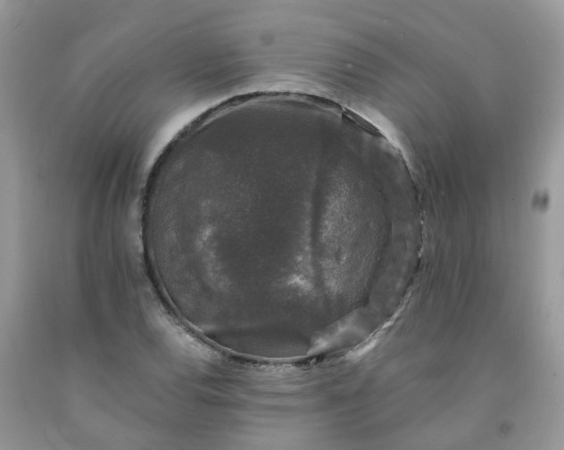 X0000091681120200709061058