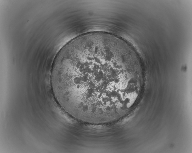 X0000091681121200709061058