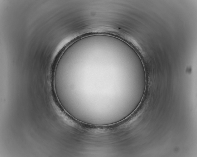 X0000091681122200709061058