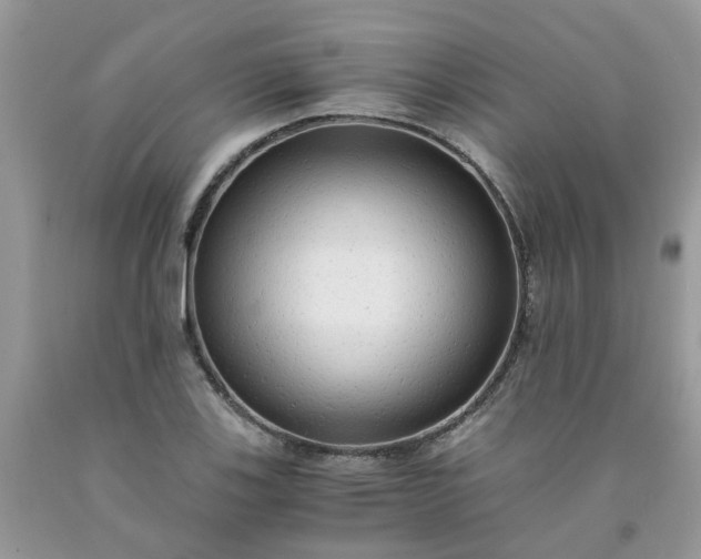 X0000091681123200709061058