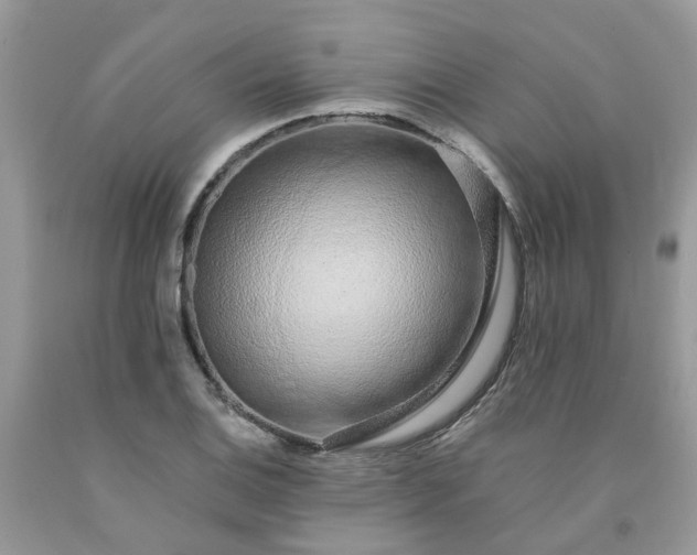 X0000091681124200709061058