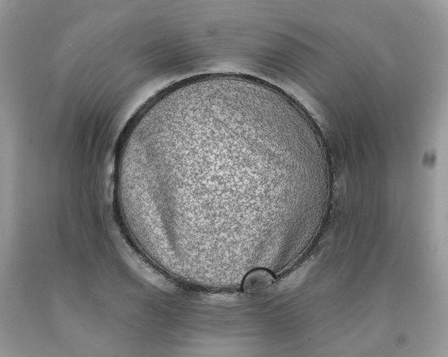 X0000091681126200709061058