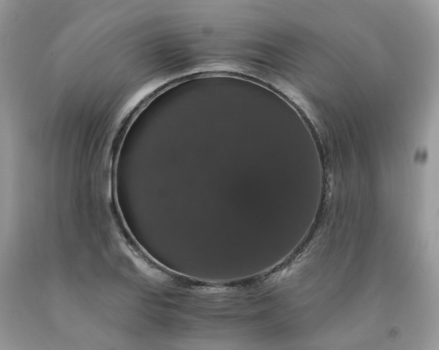 X0000091681127200709061058