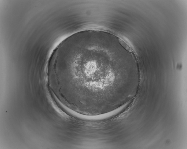 X0000091681128200709061058