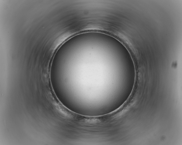 X0000091681129200709061058