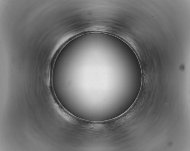 X0000091681131200709061058