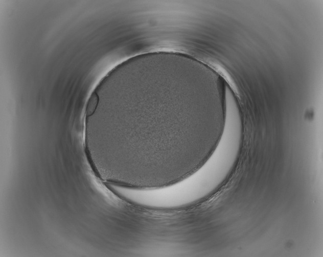 X0000091681132200709061058