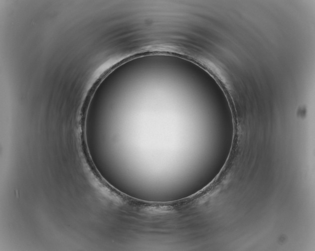 X0000091681133200709061058