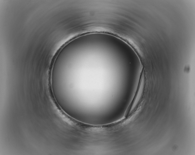 X0000091681134200709061058