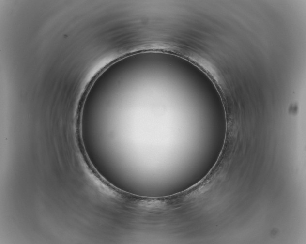X0000091681135200709061058