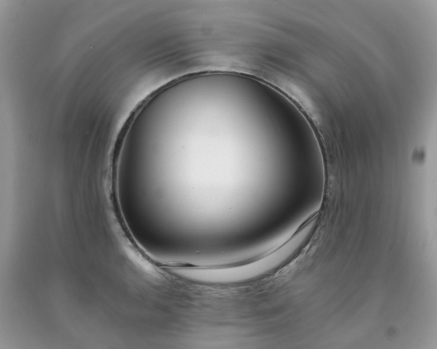 X0000091681136200709061058