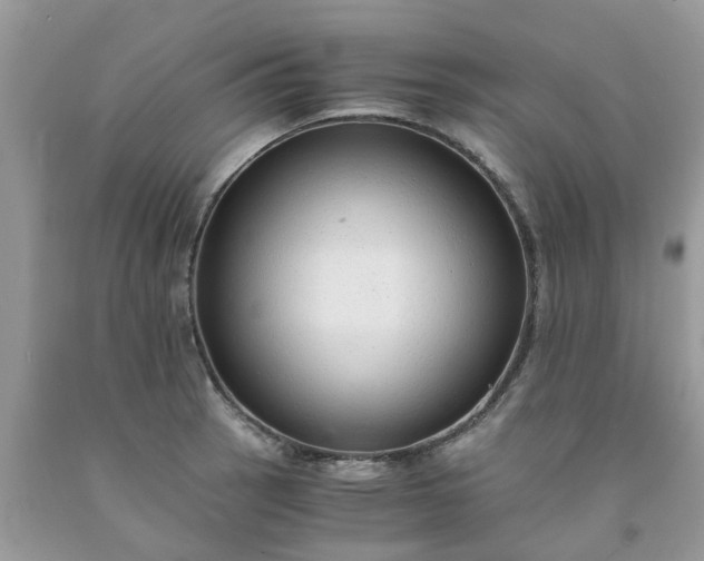 X0000091681137200709061058