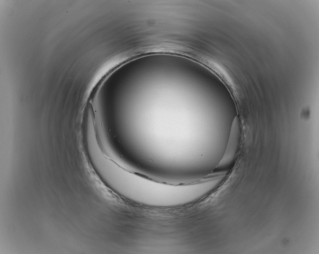 X0000091681138200709061058