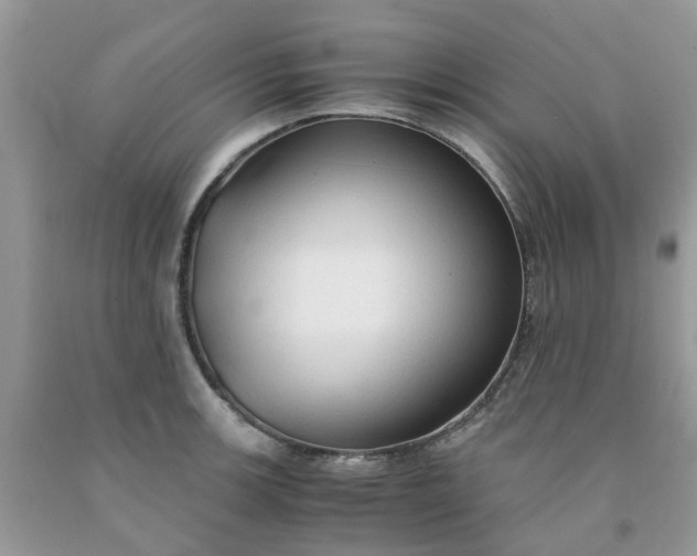 X0000091681139200709061058