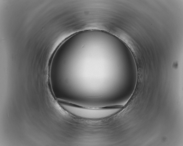 X0000091681140200709061058