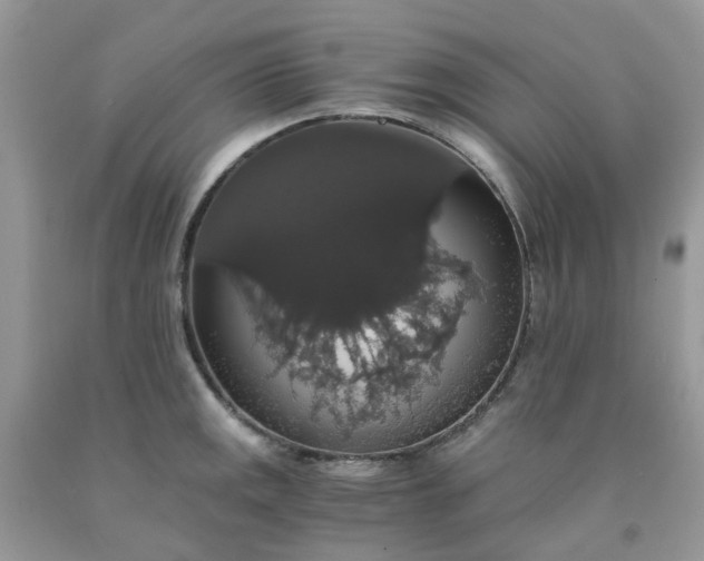 X0000091681141200709061058