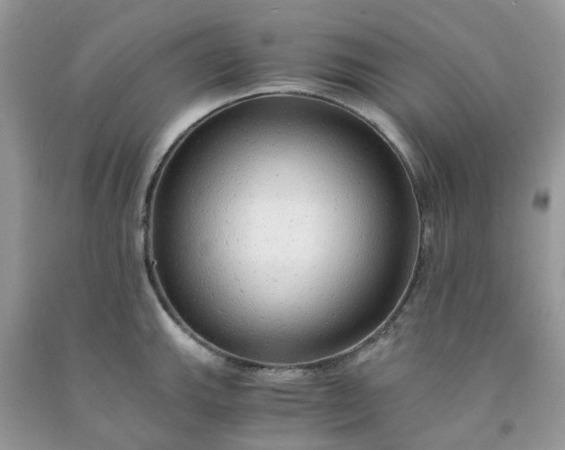 X0000091681143200709061058